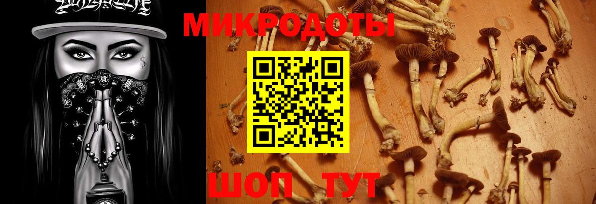 Псилоцибиновые грибы прущие грибы  Вход с VPN  Псилоцибиновые грибы MAGIC MUSHROOMS  Мытищи 